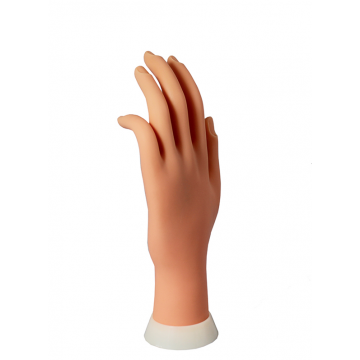 PACTRICE HAND MH COSMETICS