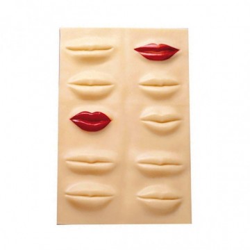 Recambio Labios Practica Bifull